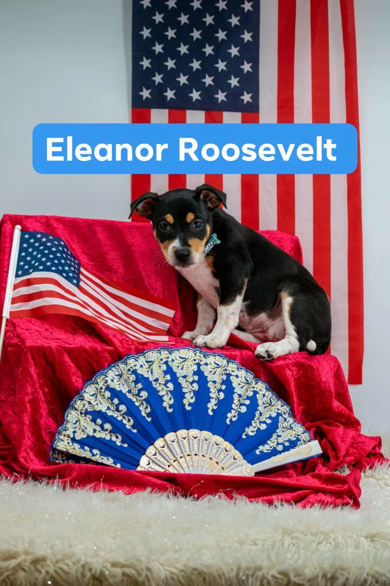 Eleanor Roosevelt thumbnail 2