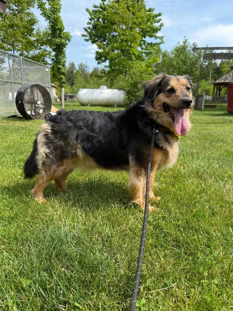 Ella