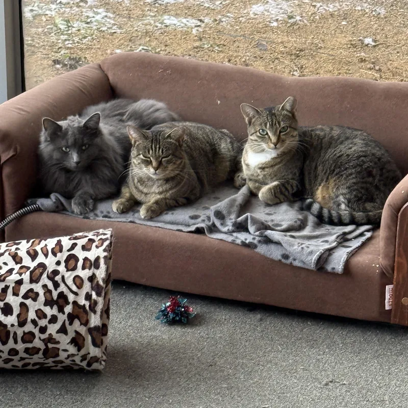 Marina And Murphie thumbnail 2