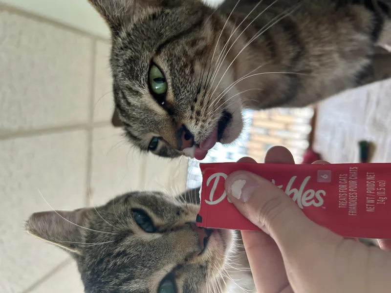 Marina And Murphie thumbnail 3