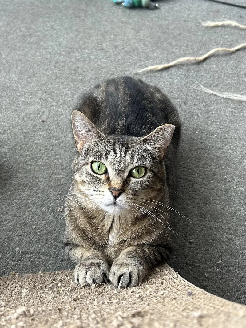 Marina And Murphie thumbnail 5