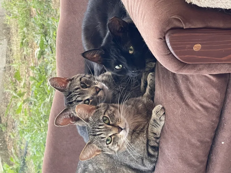 Marina And Murphie thumbnail 6