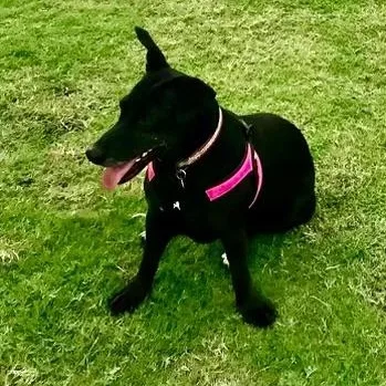 Beto And Pantera thumbnail 6