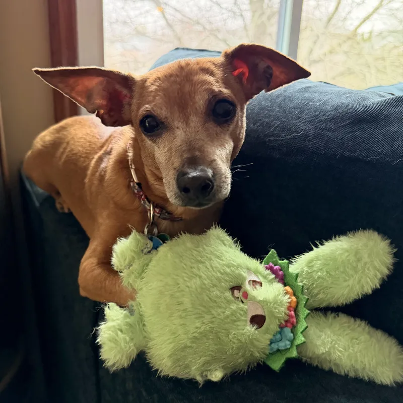 Chickfila Sauce thumbnail 2