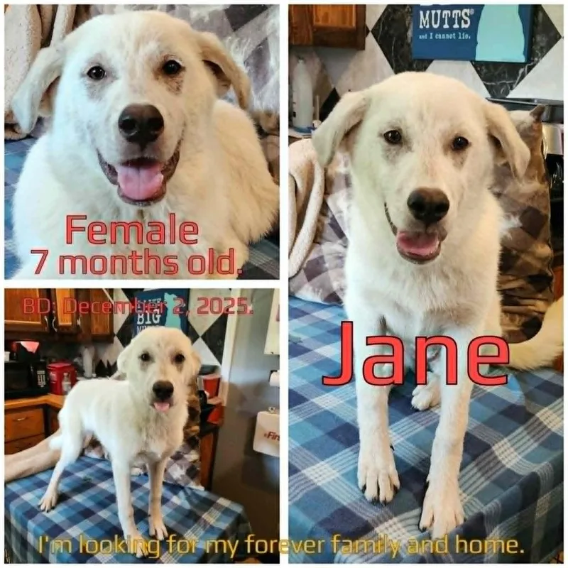 Jane thumbnail 3