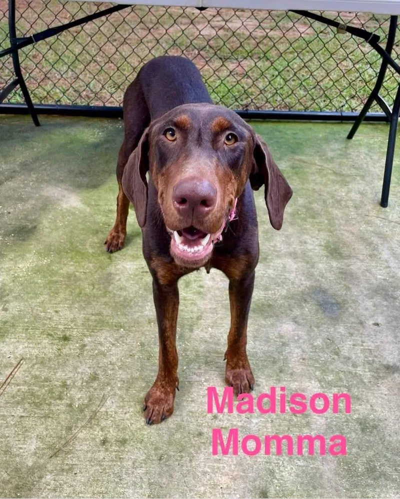 Madison thumbnail 3