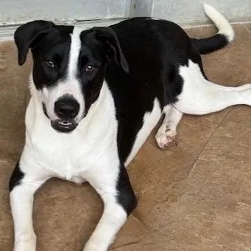 Charlotte thumbnail 2