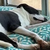 Charlotte thumbnail 3