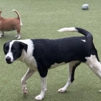 Charlotte thumbnail 4