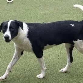 Charlotte thumbnail 5