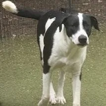 Charlotte thumbnail 6