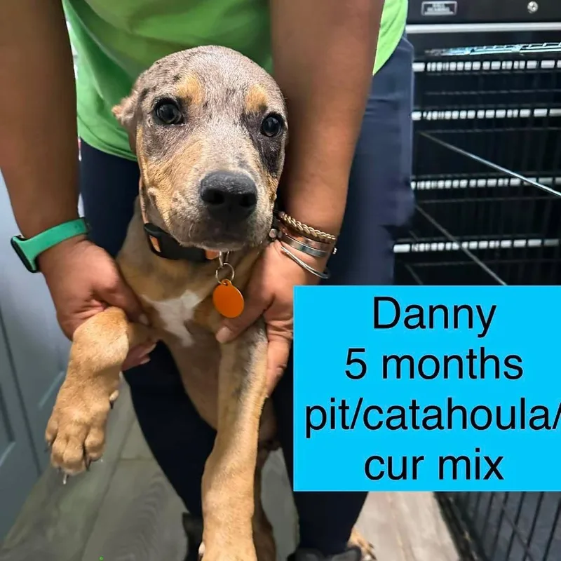 Danny