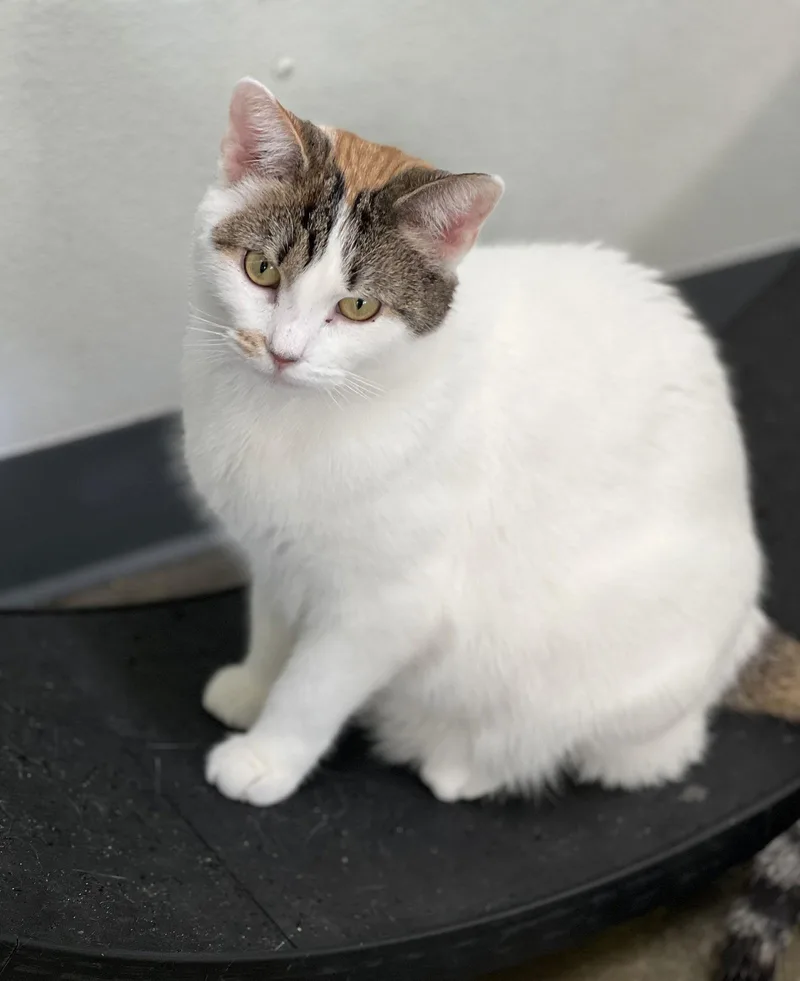 Mary Anne thumbnail 3