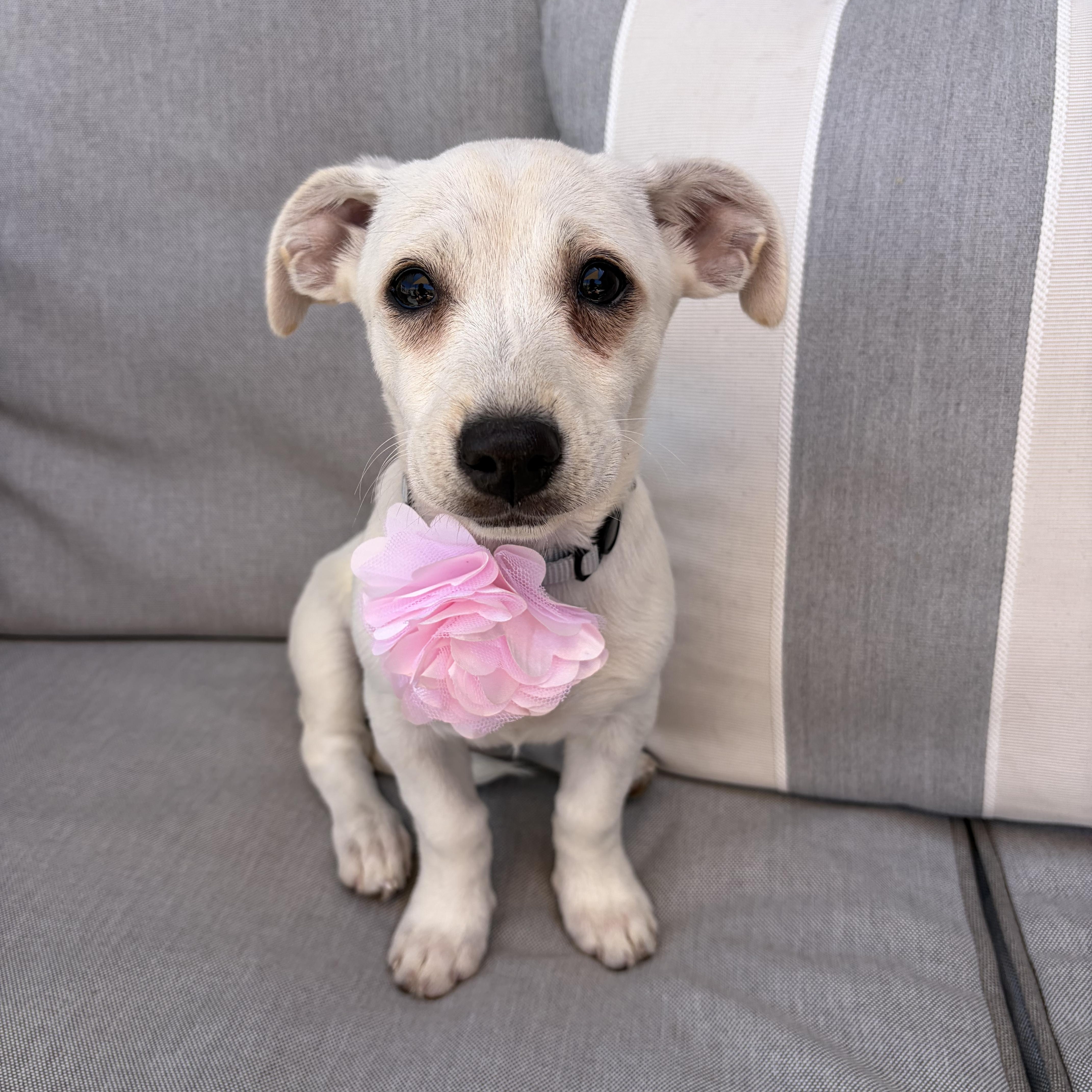 Romina thumbnail 2
