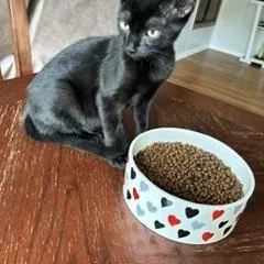 Salem thumbnail 3
