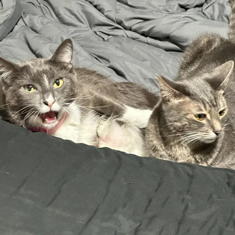 Caroline thumbnail 2