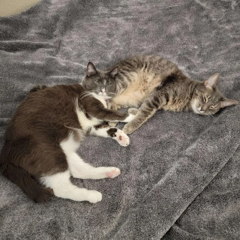 Caroline thumbnail 3