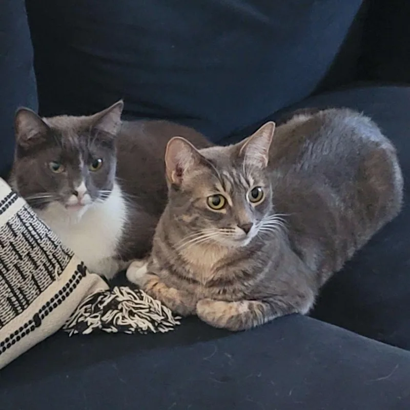 Caroline thumbnail 4