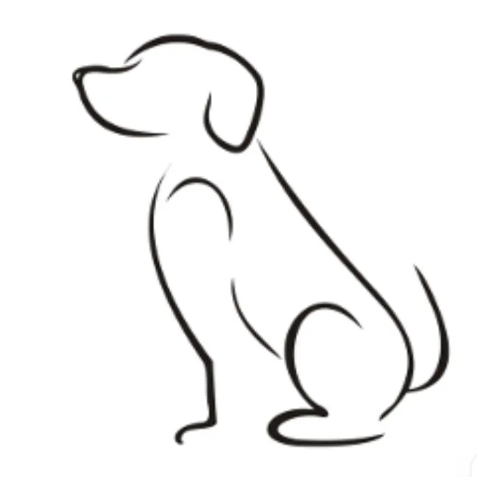 An adult large-sized male Mixed Breed dog named Valhalla for adoption in New York, NY