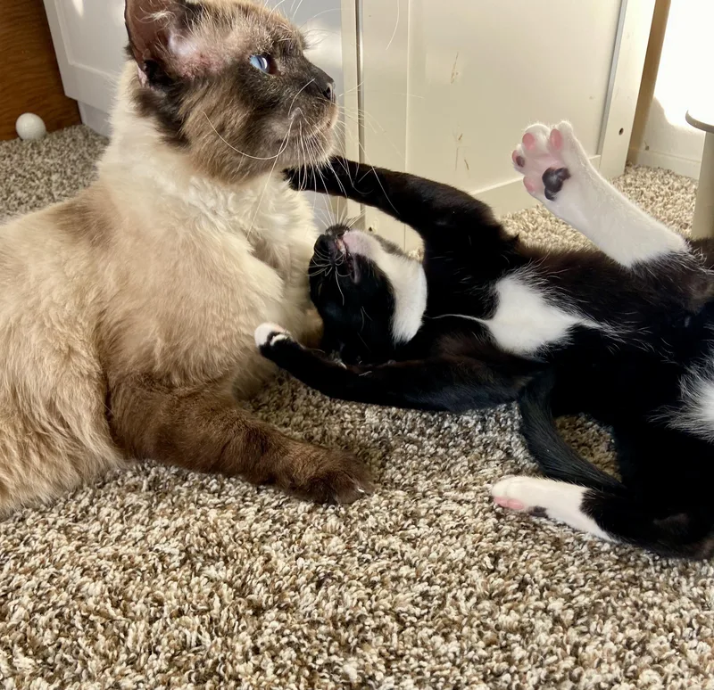 Bonita And Earl  thumbnail 3