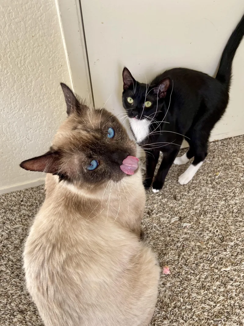 Bonita And Earl  thumbnail 4