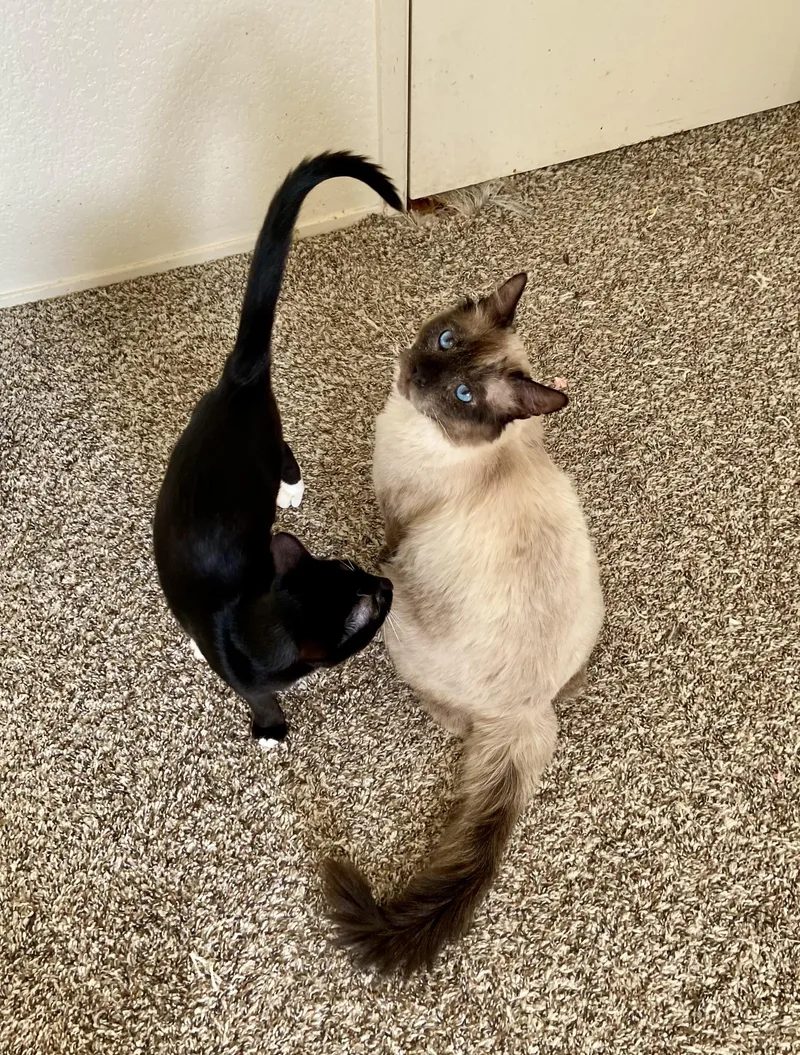 Bonita And Earl  thumbnail 5