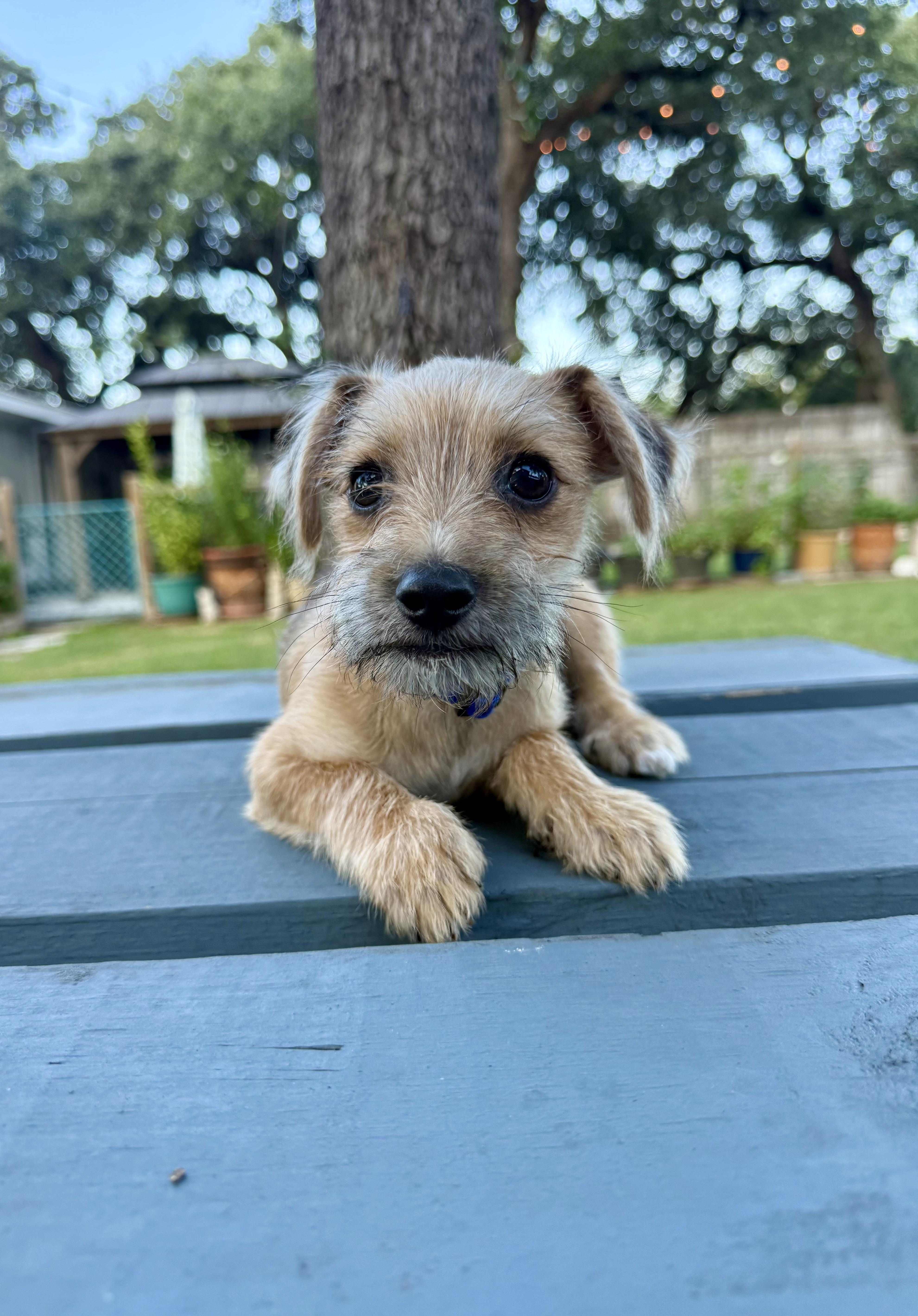 Clark a sweet tiny