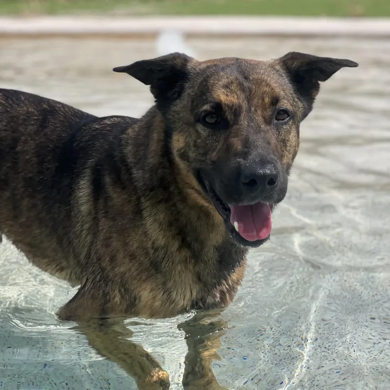 Henderson Aka Fred thumbnail 2