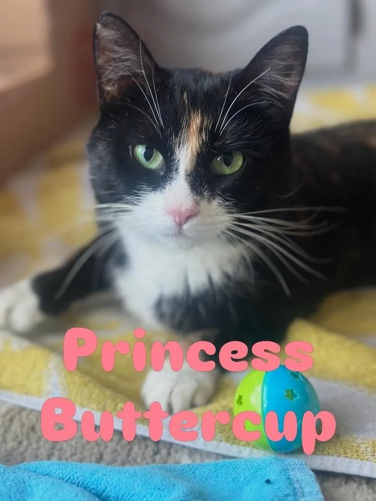Princess Buttercup thumbnail 2