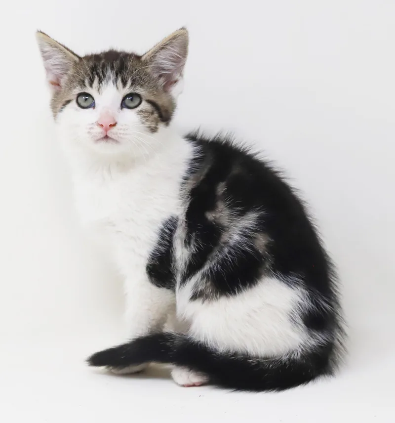 Roni is RIDICULOUSLY SWEET thumbnail 3