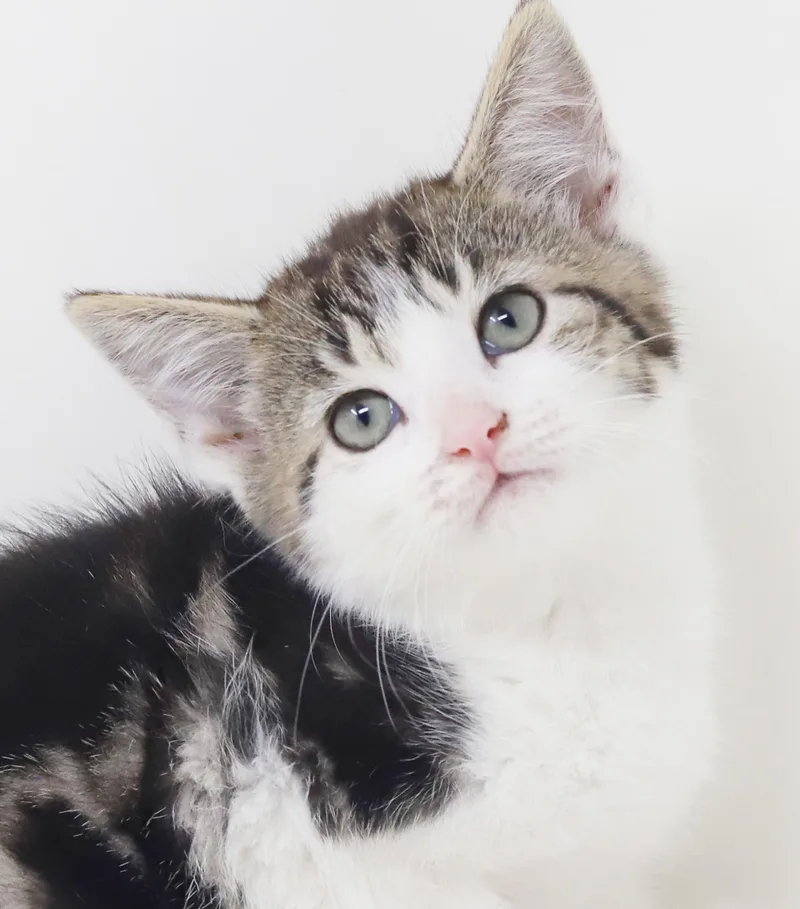 Roni is RIDICULOUSLY SWEET thumbnail 5