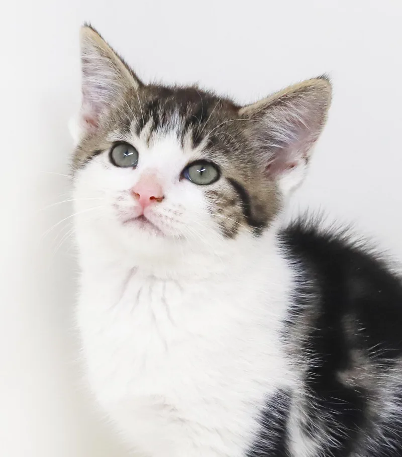 Roni is RIDICULOUSLY SWEET thumbnail 6