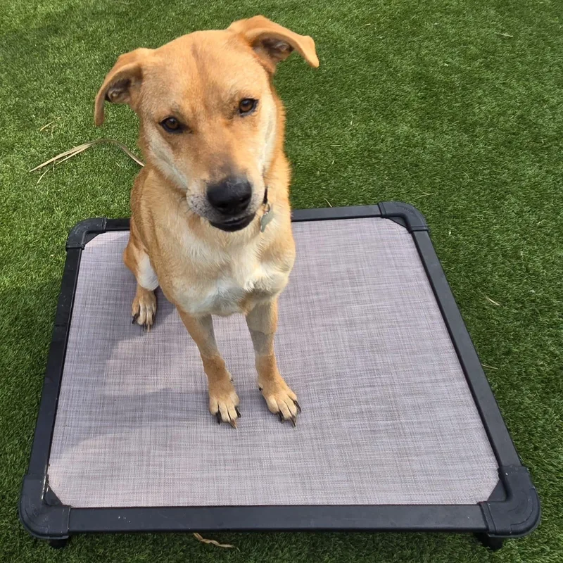 Order Number Guk thumbnail 5