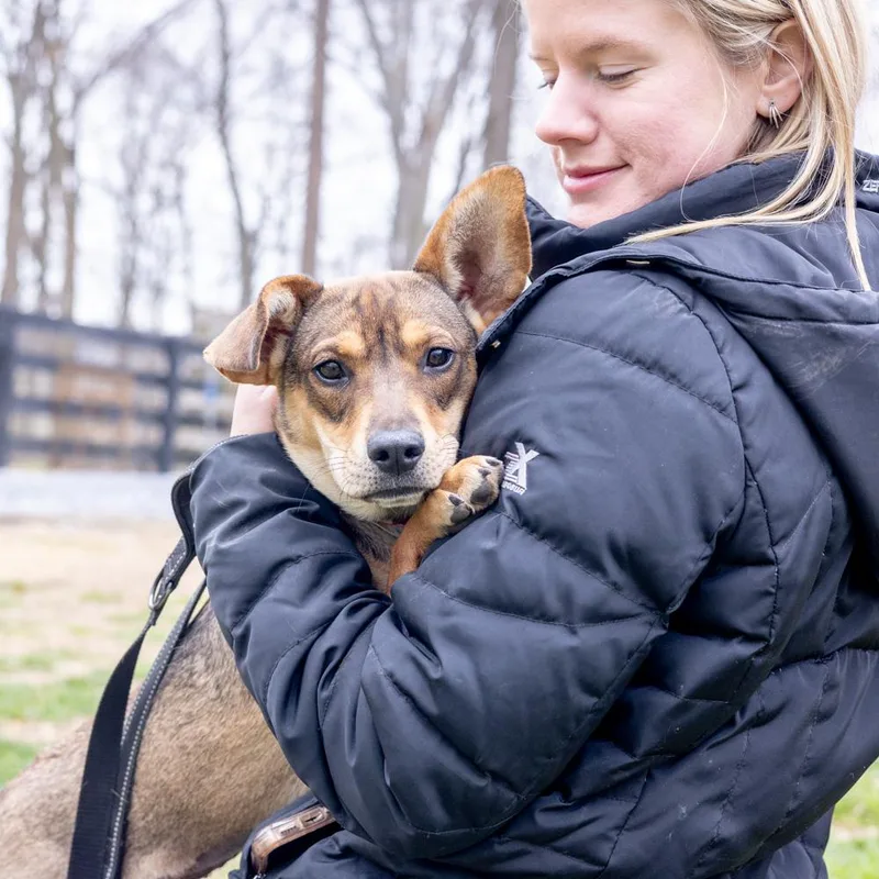 Tofuavail thumbnail 2