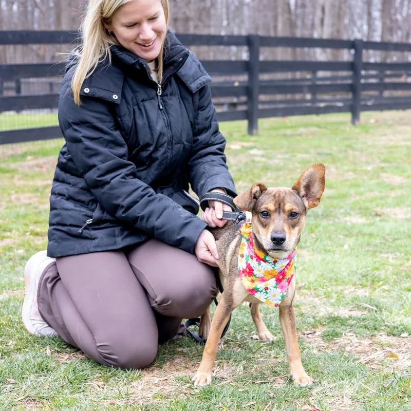 Tofuavail thumbnail 3