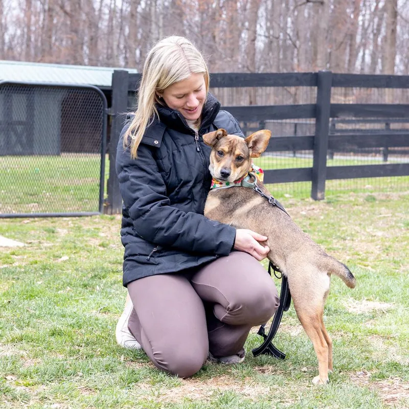 Tofuavail thumbnail 4