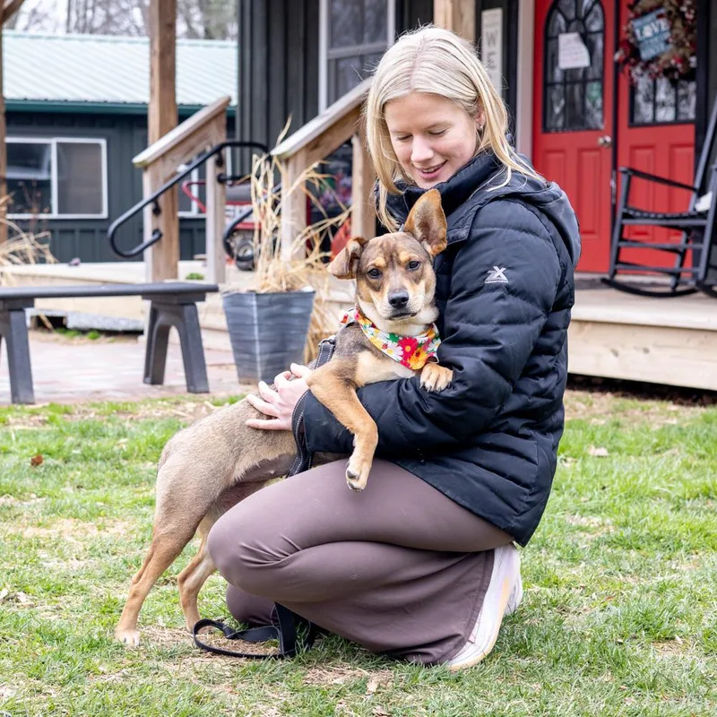 Tofuavail thumbnail 6