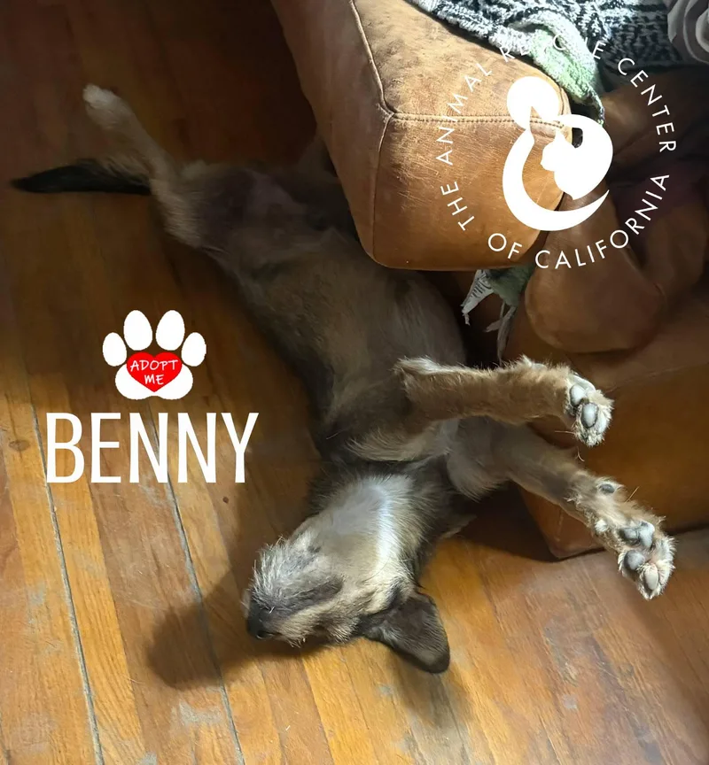 Benny