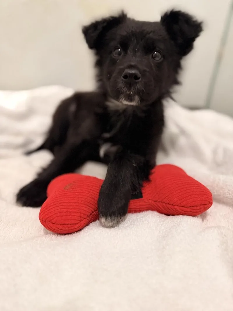 Tom Sawyer thumbnail 2