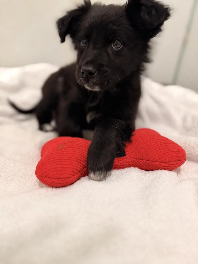 Tom Sawyer thumbnail 3