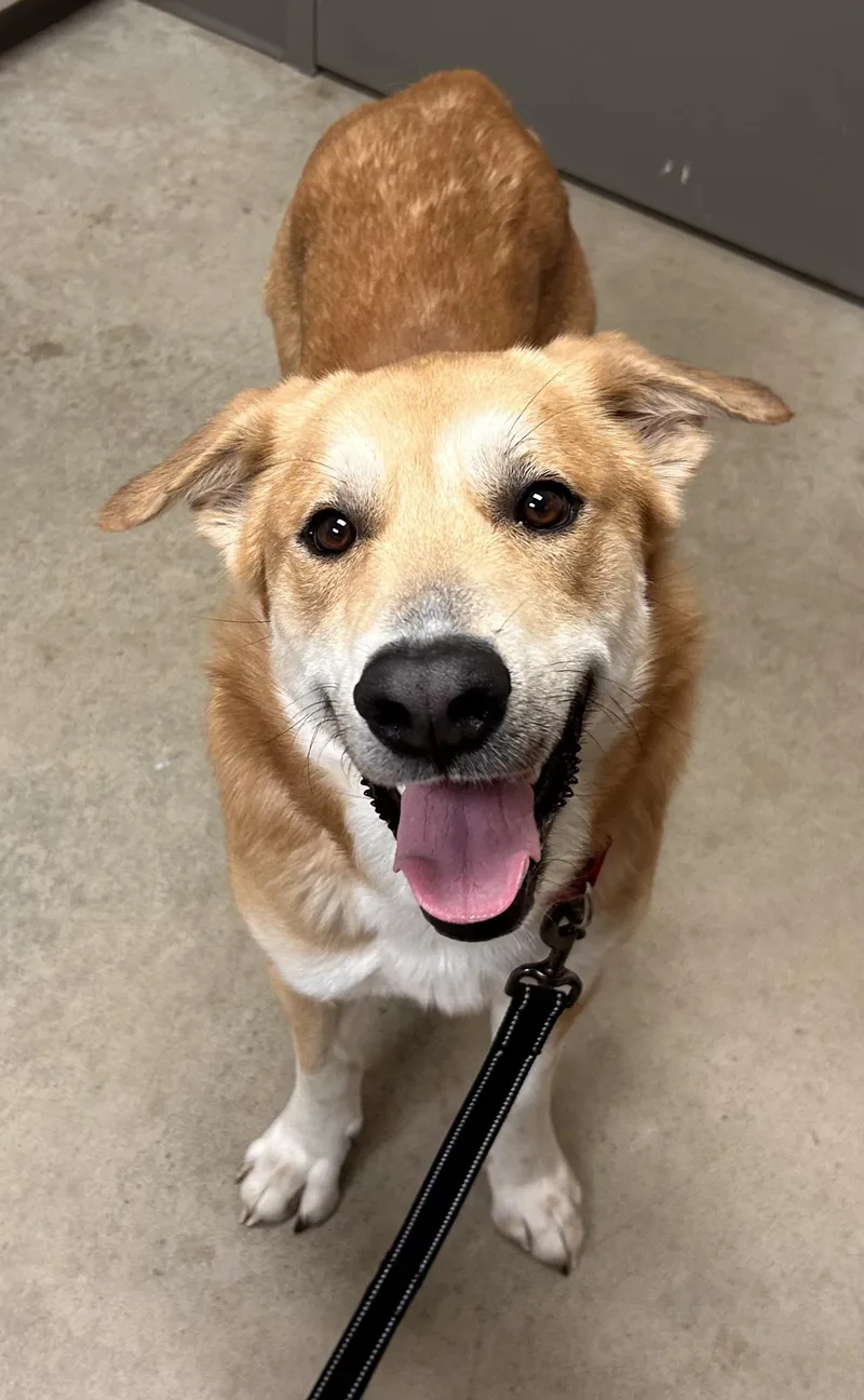 Santiago thumbnail 2