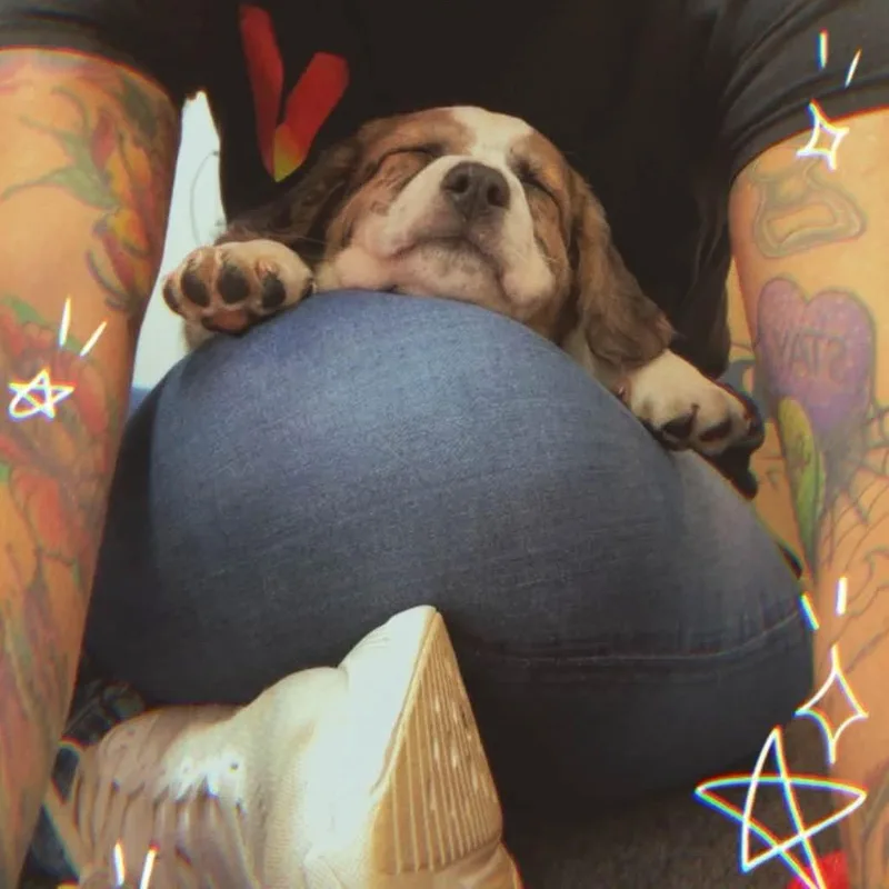 Coconut thumbnail 5