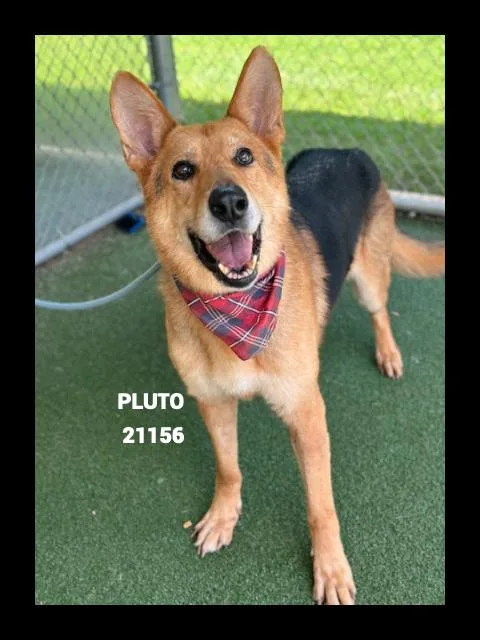 Pluto thumbnail 3