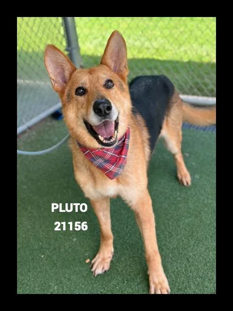Pluto thumbnail 4