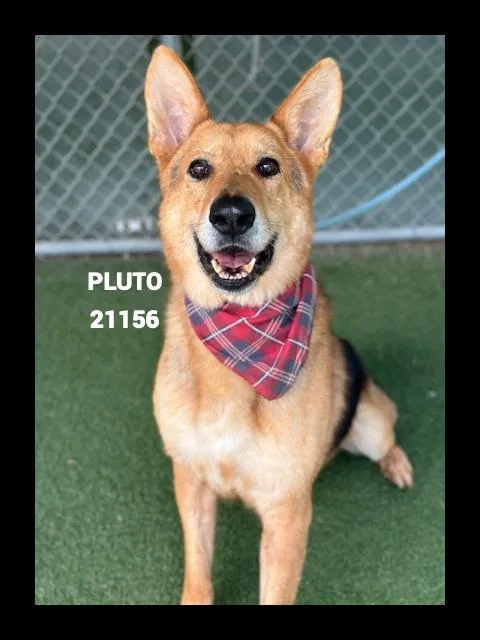 Pluto thumbnail 5