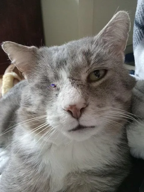 Coolio Missing An Eye thumbnail 2