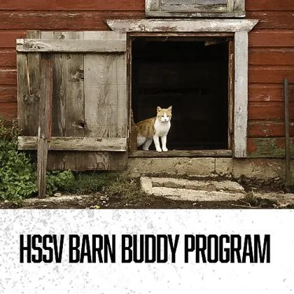 Cordato Fc thumbnail 2