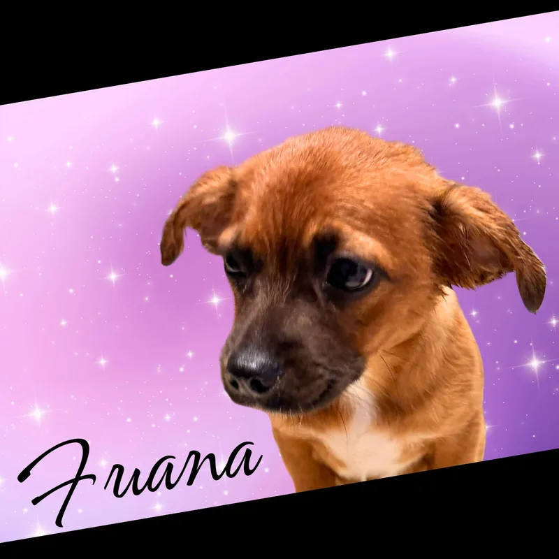 Fuana thumbnail 2