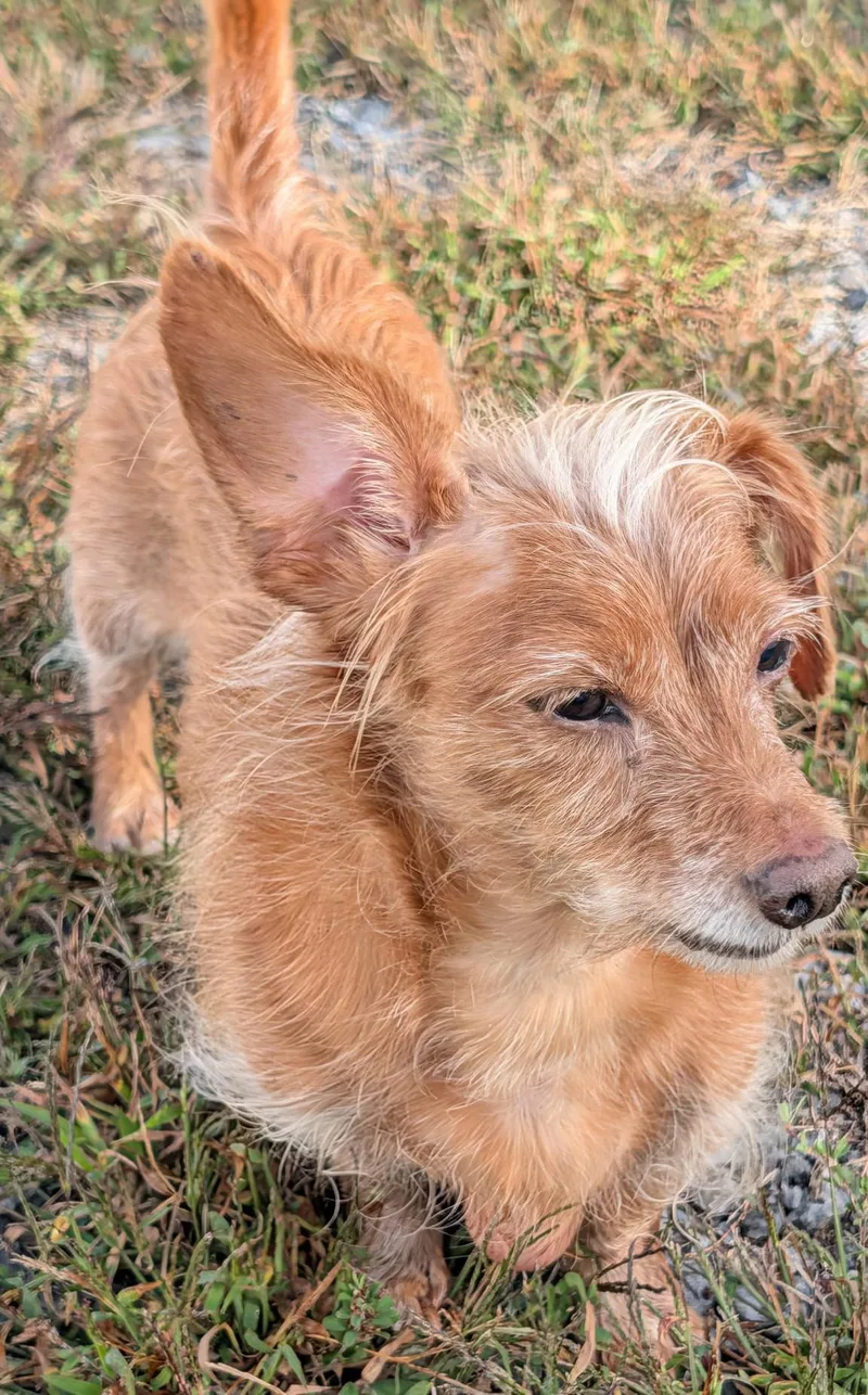 Toby in TN thumbnail 6