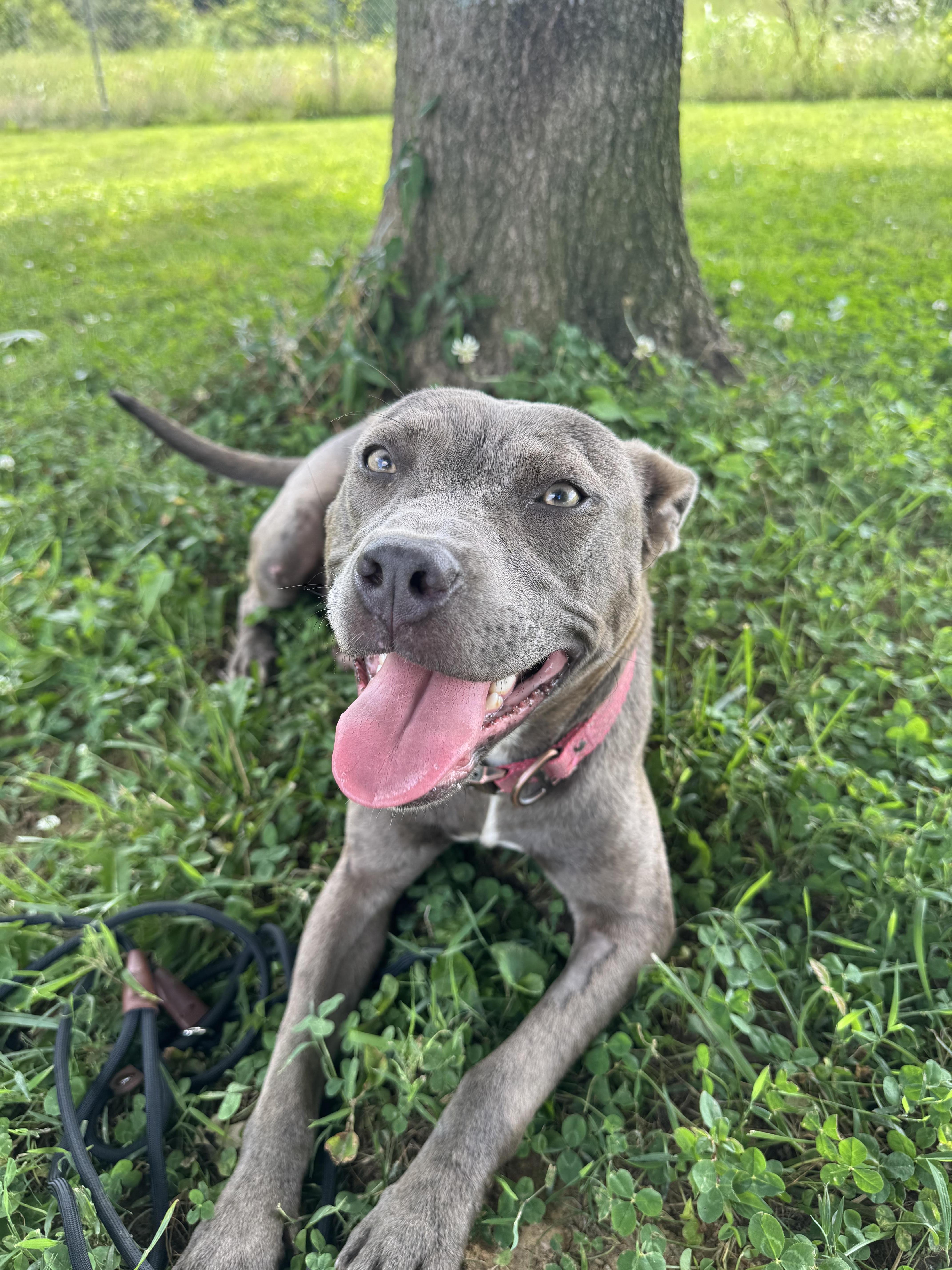 Delta